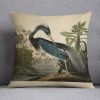 Louisiana Heron by Audubon Cushion
